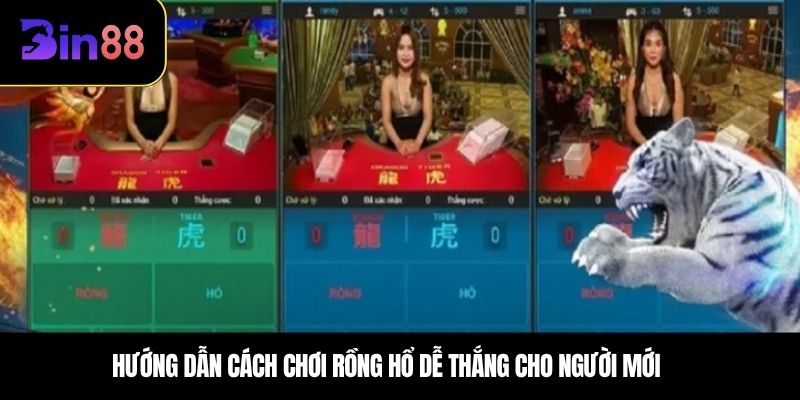 Hướng dẫn cách chơi Rồng Hổ dễ thắng cho người mới